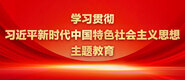 中国操逼网站学习贯彻习近平新时代中国特色社会主义思想主题教育_fororder_ad-371X160(2)